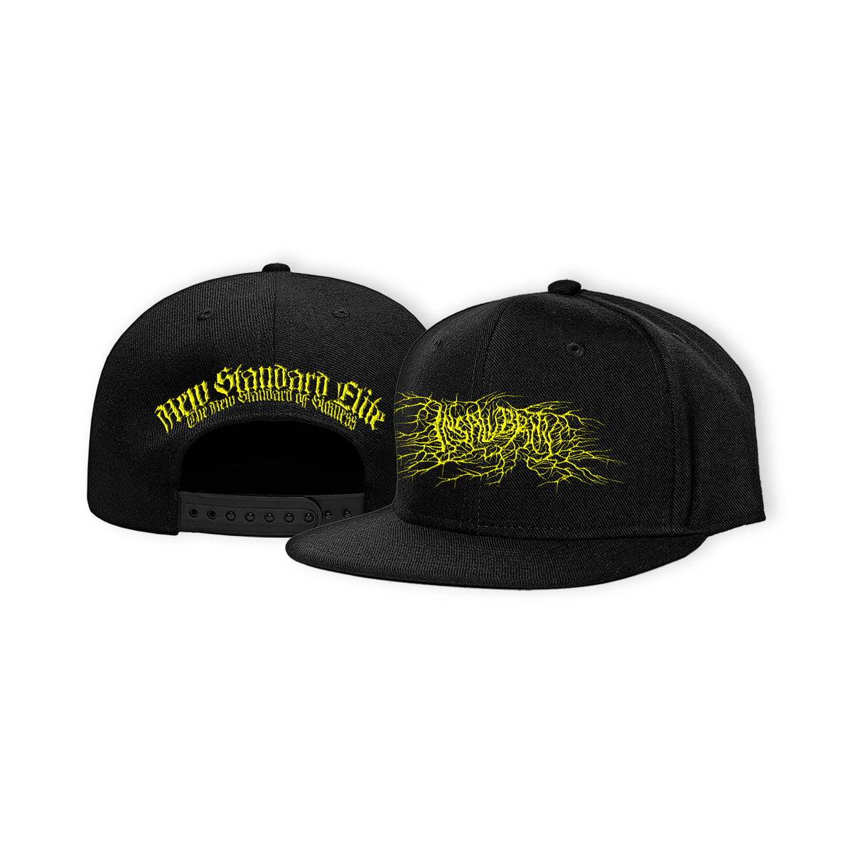 INSALUBRITY LOGO HAT
