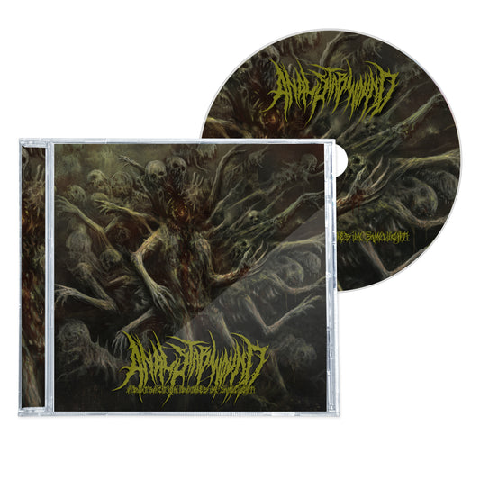 ANAL STABWOUND "ABSTRACTION BATHES IN SUNLIGHT" CD