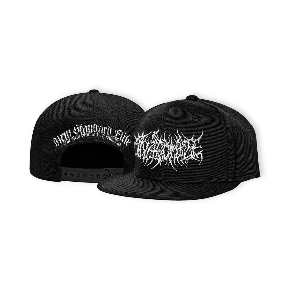 ANATOMIZE LOGO HAT