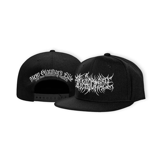 ANATOMIZE LOGO HAT