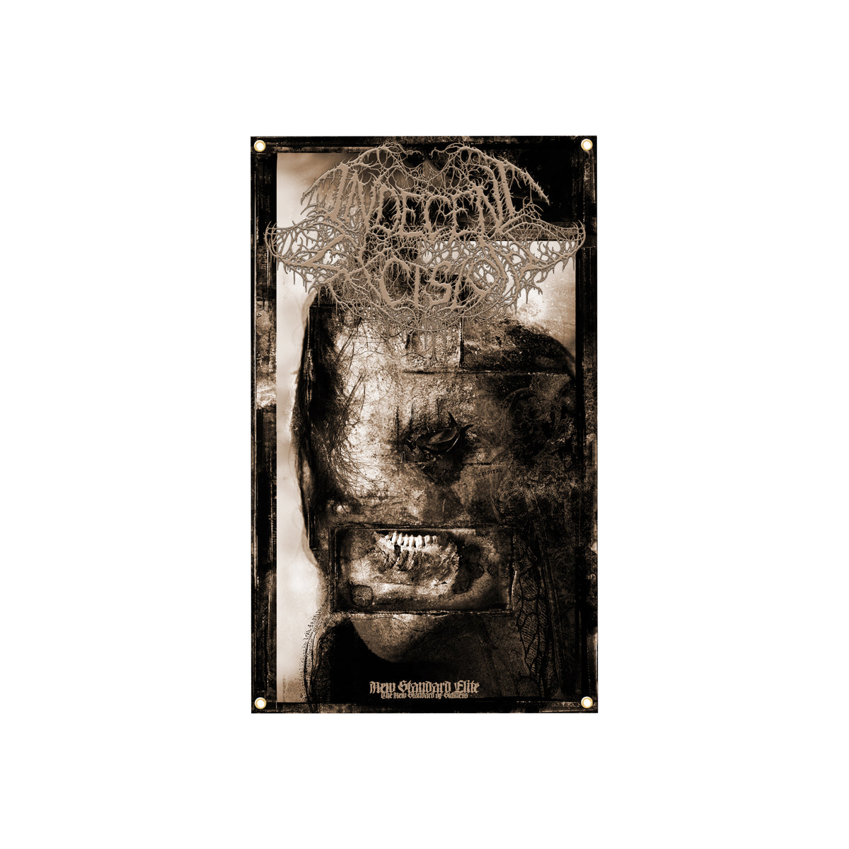 INDECENT EXCISION BANNER FLAG