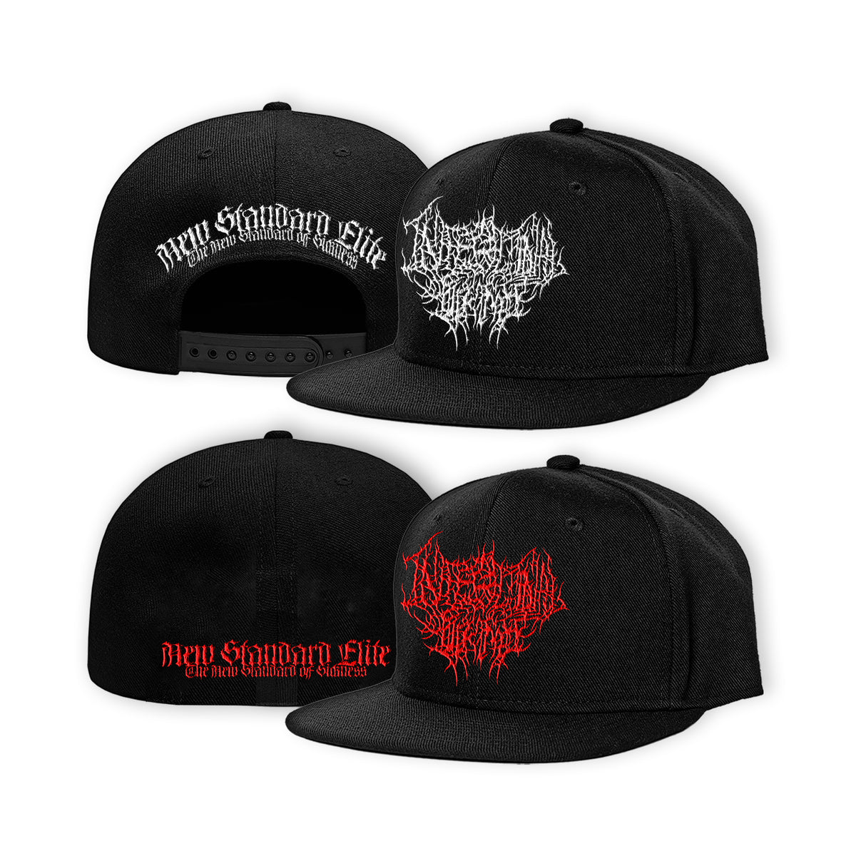 INTESTINAL SODOMY LOGO HAT